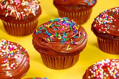 chocolate cupcakes with sprinkles