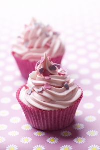 Chocolate cupcake pictures