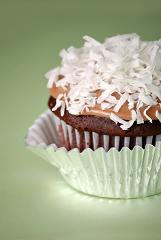 Chocolate cupcake with shredded coconut